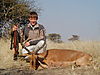 hunting_impala_080.JPG