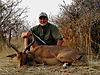 hunting_impala_115.JPG