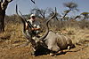 hunting_kudu_006.jpg