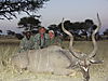 hunting_kudu_010.jpg