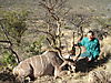 hunting_kudu_020.JPG