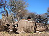 hunting_kudu_032.JPG