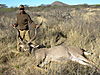 hunting_kudu_034.JPG