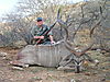 hunting_kudu_036.JPG