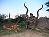 hunting_kudu_047.JPG