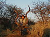 hunting_kudu_070.JPG