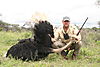 hunting_ostrich_009.JPG