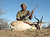 hunting_springbok_005.JPG