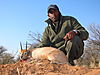 hunting_steenbok_015.JPG