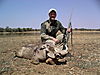 hunting_warthog_016.jpg