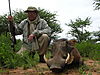 hunting_warthog_057.jpg