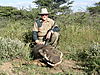 hunting_warthog_082.JPG