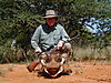 hunting_warthog_086.JPG