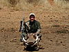 hunting_warthog_102.JPG