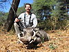 hunting_warthog_106.jpg