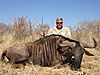 hunting_wildebeest_027.JPG