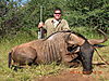 hunting_wildebeest_029.JPG