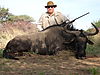 hunting_wildebeest_036.JPG