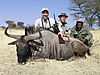 hunting_wildebeest_050.JPG