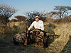 hunting_wildebeest_060.JPG