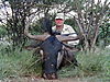 hunting_wildebeest_061.JPG
