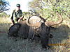 hunting_wildebeest_066.jpg