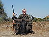 hunting_wildebeest_067.JPG