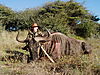 hunting_wildebeest_079.jpg