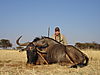 hunting_wildebeest_080.JPG