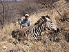 hunting_zebra_002.jpg