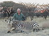 hunting_zebra_003.jpg