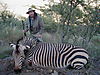 hunting_zebra_005.JPG