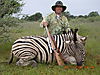 hunting_zebra_0061.JPG