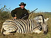 hunting_zebra_0081.JPG