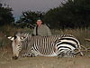 hunting_zebra_015.JPG