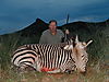 hunting_zebra_017.JPG