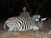 hunting_zebra_0191.JPG