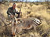 hunting_zebra_024.JPG