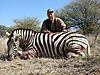 hunting_zebra_0301.JPG