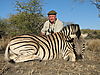 hunting_zebra_0311.JPG