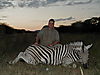 hunting_zebra_037.JPG