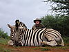 hunting_zebra_045.jpg