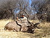 kudu_hunting2.jpg