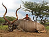 kudu_mabrey07.jpg