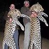 leopard-hunt-namibia.jpg