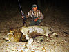 lion-hunting-023.jpg