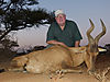 old-red-hartebeest.jpg