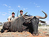 randal-knysh-frikkie-blue-wildebeest.jpg