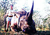 rhino-hunt.jpg