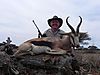 rsa-common-springbok.jpg